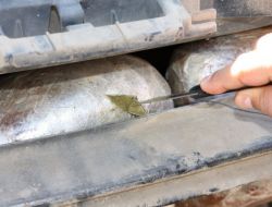 Kayseri’de 36 kilo esrar ele geçirildi!