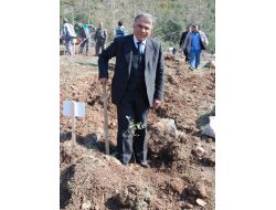 "Türkiye'de Yeterli Miktarda Çam Balı Üretilmiyor"