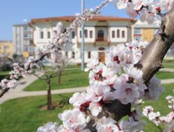 Nostalji Bahçeleri Çiçek Açtı