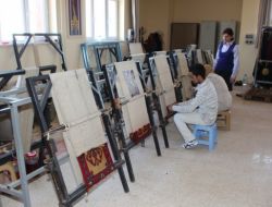 Karamanoğlu Mehmetbey Üniversitesi, Myo'yu İkiye Böldü