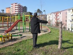 Alaplı'da Parktaki Ağaçların Kesilmesine Tepki