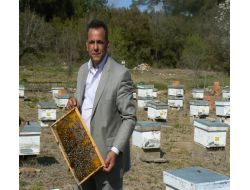 Trakya Kalkınma Ajansı’ndan Arıcılara 125 Bin Lira Hibe Desteği