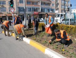 Adıyaman’da Refüjler Rengârenk