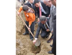 20 Bin Fidan Toprakla Buluşacak