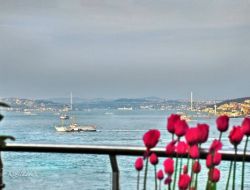 Şehir Hatları Boğaz Turlarını Artırıyor