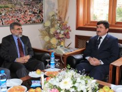 Yıldız, elektrik zammı ile ilgili konuştu!