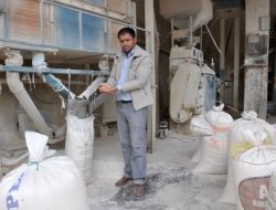 Ekmekte Aslına Dönüş Ençok Değirmencileri Sevindirdi