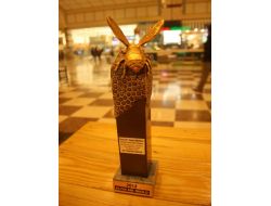 Altın Arı Ödülü M1'de Sergileniyor