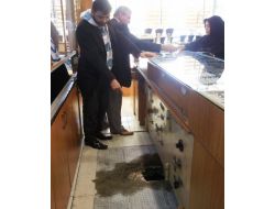 Soyguncuların Planını Nöbetçi Eczane Bozdu