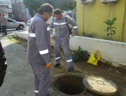 Antalya'da Böcekle Mücadele Devam Ediyor