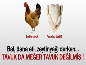 "Yediğiniz tavuklar aslında tavuk değil"