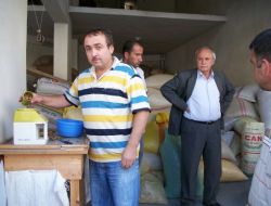 Fındık Fiyatlarının Düşmesi Tüccarı Kara Kara Düşündürüyor