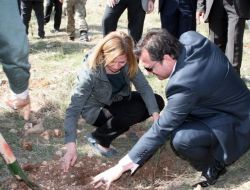 Midyatlılar Fidan Dikmek İçin Seferber Oldu