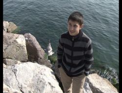 Kartal Sahilinde Ölü Yunus Balığı Bulundu