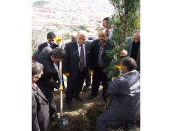 Vali Şentürk: Ağaçlandırmaya Çok Önem Veriyoruz