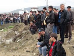 Bakan Çelik: Çaycuma'da Bütün İmkanlarımızı Seferber Ediyoruz