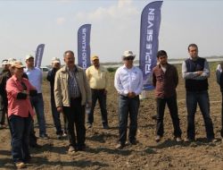 Çukurova'daki Mısır Üretiminde Yeni Dönem Başladı