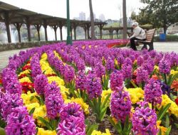 Baharın Tüm Renkleri Başakşehir’de