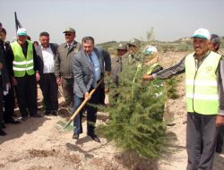 Bakan Eroğlu: Bu Yıl İçinde Trakya'dan Büyük Alanı Ağaçlandıracağız