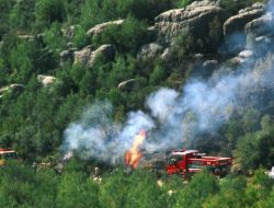 Alanya’da 6 Hektar Orman Yanarak Kül Oldu