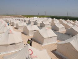 Ceylanpınar’daki Çadır Kente Bin 500 Suriyeli Yerleştirildi