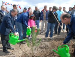 Abd Büyükelçisi Ricciardone Kazan'da Fidan Dikti