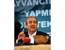 Besicilere Hayvan Başına 300 Lira Destek Verilecek