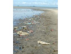 'Boğazlardaki Kirlilik Sınıra Dayandı'