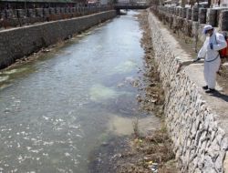 Çubuk'ta İlaçlama Çalışmaları Devam Ediyor