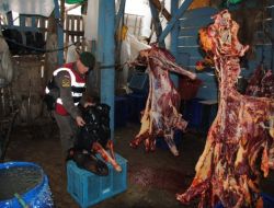 Kasaplara Satmak İçin Kestiği 3 Atı Parçalara Ayırırken Yakalandı