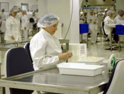 Fresenius Medical Care, Üretimi 24 Milyona, İstihdamı Bin Kişiye Çıkaracak