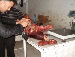 Mersin’de 187 Kilo Kaçak Et Ele Geçirildi