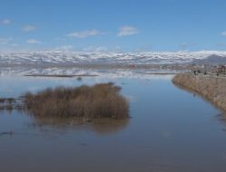 Kura Nehri Taşınca Ardahan Ovası Sular Altında Kaldı