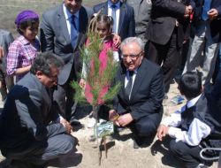 14 Bin Çocuk, 14 Bin Fidanı Toprakla Buluşturdu