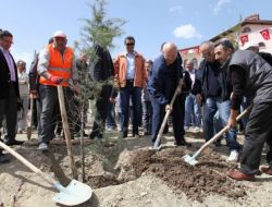 Yenimahalle'de Van Depreminde Şehit Olan Öğretmenlerin Anısına Fidan Dikildi