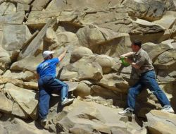 Çeçenistan’da Dinozor Yumurtası Fosilleri