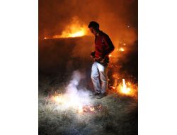 Erzincan’da Kuş Cenneti Büyük Tehlike Atlattı