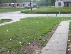 Beyzbol Topu Büyüklüğünde Dolu Yağışı