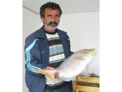 Edremitli Balıkçıların Yüzü Mercan’la Güldü