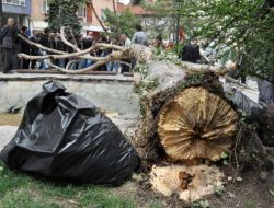 Eskişehir’de Kuvvetli Lodos: 1 Yaralı