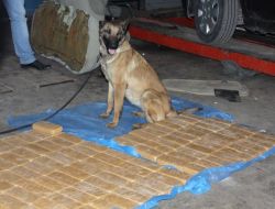 Kars'ta 51 Kilogram Eroin Ele Geçirildi