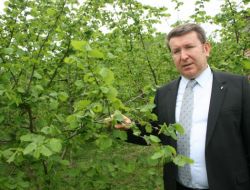 FINDIĞI FIRTINA VURDU