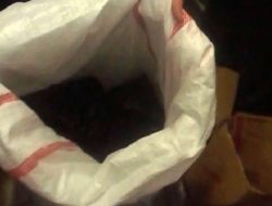 Cizre’de Kaçak Sigara Operasyonu