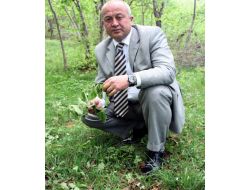 Giresun Ziraat Odası Başkanı Akbaşlı: Fırtına Fındıkta Ciddi Hasara Yol Açtı