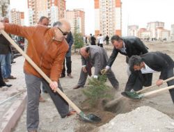 Kutlu Doğum Haftası'na Özel Park