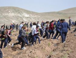 Yerköy’de 5 Bin Çam Fidanı Toprakla Buluştu