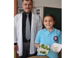 Kötü Söz Tohumu Çürüttü, Güzel Söz Filizletti