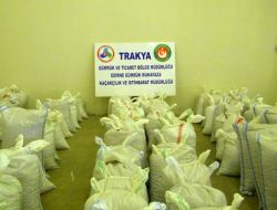 Kapıkule’de 14 Ton Kaçak Çakıl Taşı