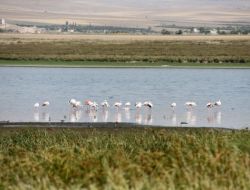 Ak Parti Milletvekili Kavaklıoğlu: Akkaya Barajı'nda Önemli Adımlar Atılıyor
