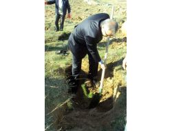 Sarıkaya’da 6 Bin Çam Fidanı Toprakla Buluştu